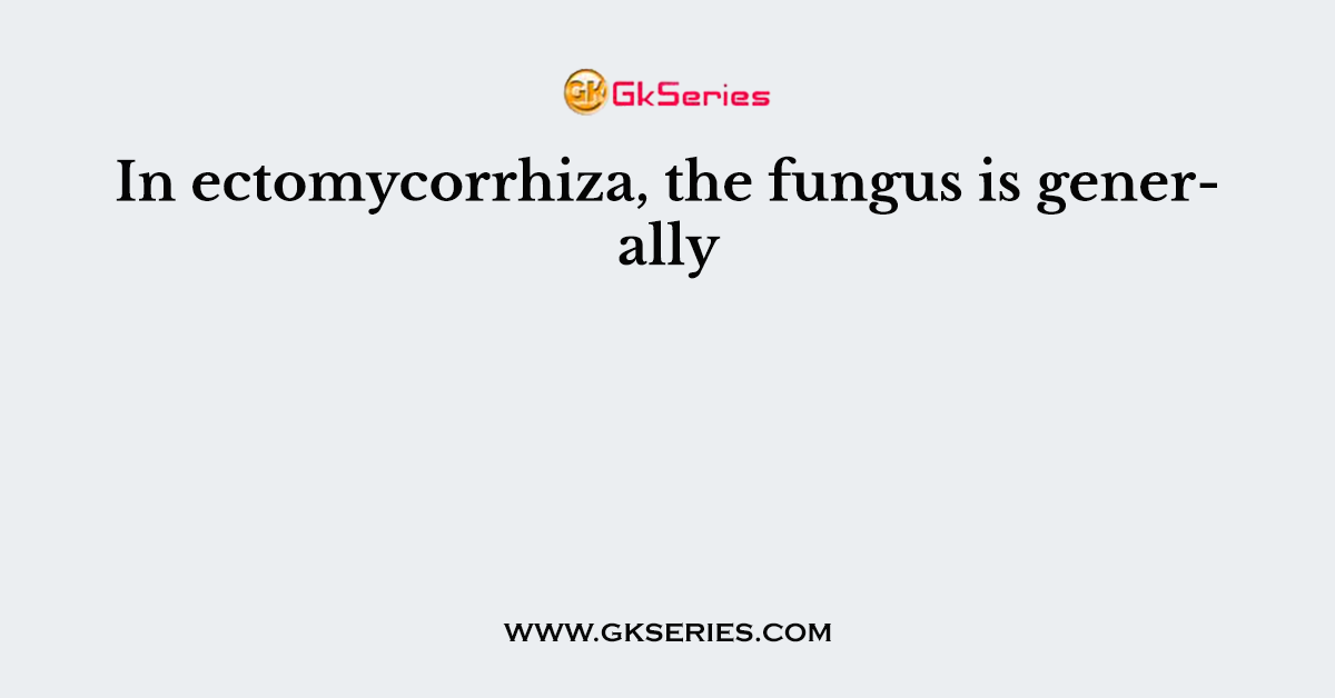 In ectomycorrhiza, the fungus is generally
