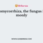 In endomycorrhiza, the fungus is commonly