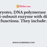 In eukaryotes, DNA polymerase alpha is a multi-subunit enzyme with different functions. They include:
