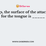 In frogs, the surface of the attachment for the tongue is _____
