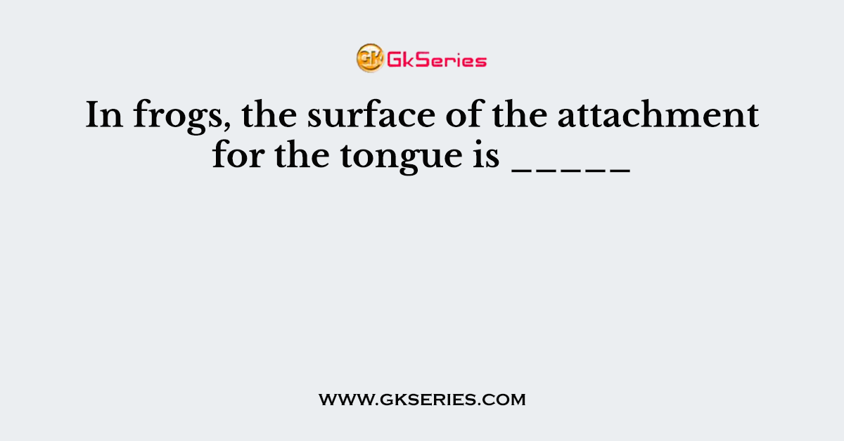 In frogs, the surface of the attachment for the tongue is _____