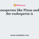 In gymnosperms like Pinus and Cycas, the endosperm is