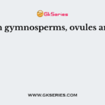 In gymnosperms, ovules are