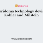 In hybridoma technology devised by Kohler and Milstein
