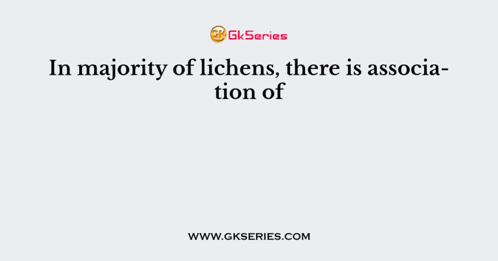 In majority of lichens, there is association of