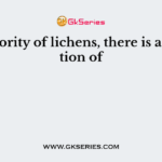 In majority of lichens, there is association of