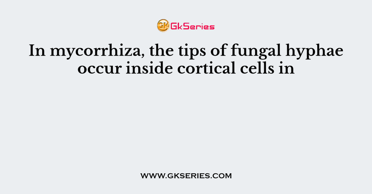 In mycorrhiza, the tips of fungal hyphae occur inside cortical cells in