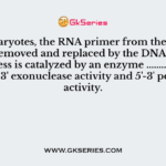In prokaryotes, the RNA primer from the lagging strand is removed and replaced by the DNA sequence