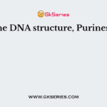 In the DNA structure, Purines are