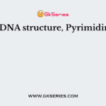 In the DNA structure, Pyrimidines are