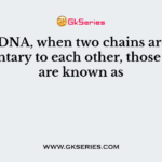 In the DNA, when two chains are complementary to each other, those chains are known as