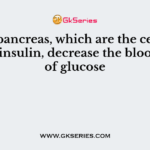 In the pancreas, which are the cells that secrete insulin, decrease the blood levels of glucose