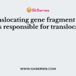 In translocating gene fragment which part is responsible for translocation?