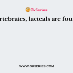 In vertebrates, lacteals are found in