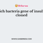 In which bacteria gene of insulin was cloned