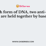 In which form of DNA, two anti-parallel chains are held together by base pairs?