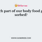 In which part of our body food gets absorbed?
