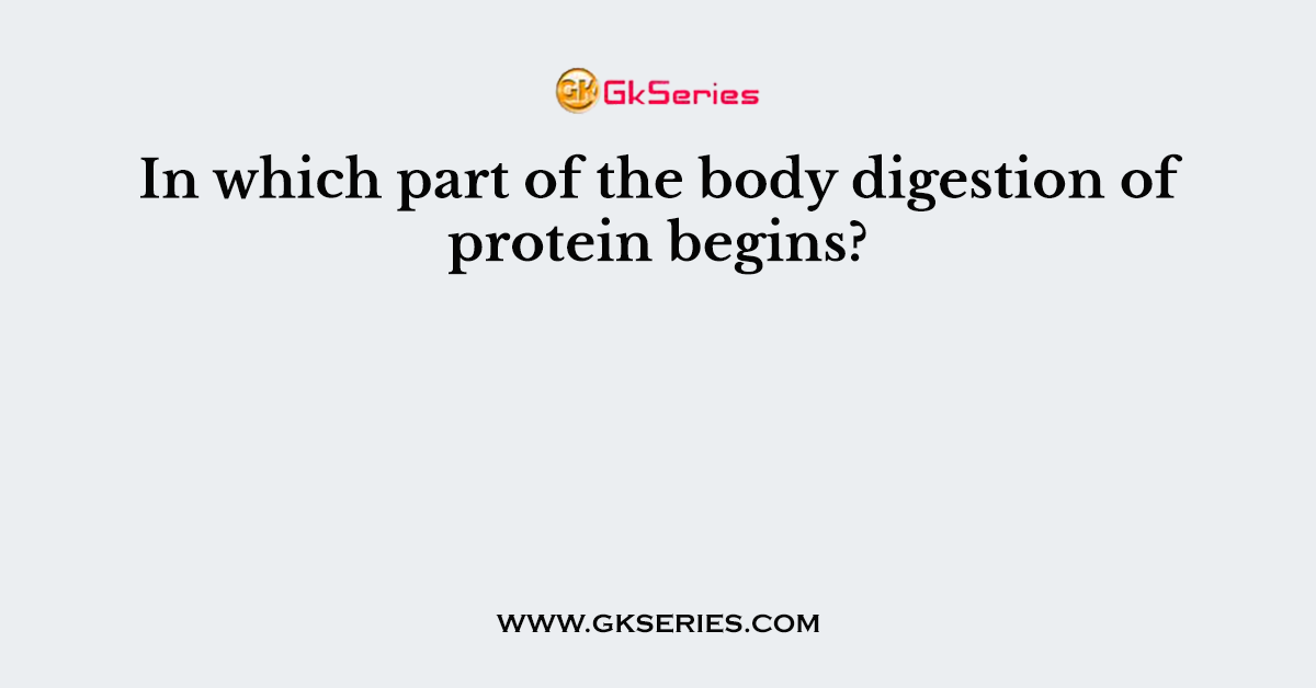 In which part of the body digestion of protein begins?