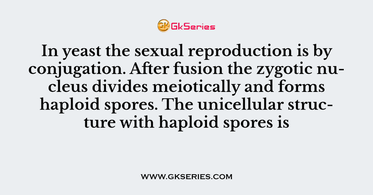 In yeast the sexual reproduction is by conjugation. After fusion the zygotic nucleus divides meiotically and forms haploid spores. The unicellular structure with haploid spores is