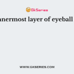 Innermost layer of eyeball is