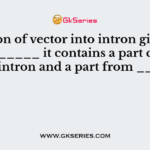Insertion of vector into intron gives rise