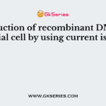 Introduction of recombinant DNA into bacterial cell by using current is called