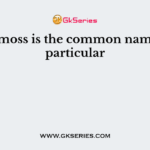 Irish moss is the common name of a particular