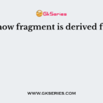 Klenow fragment is derived from
