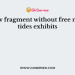 Klenow fragment without free nucleotides exhibits