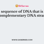 Known sequence of DNA that is used to find complementary DNA strands, is