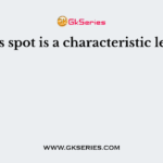 Koplik’s spot is a characteristic lesion of