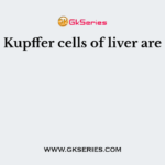 Kupffer cells of liver are