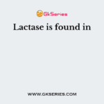 Lactase is found in
