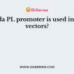 Lambda PL promoter is used in which vectors?