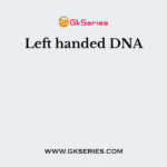 Left handed DNA