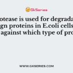 Lon protease is used for degradation of