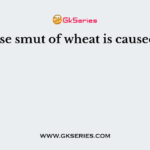 Loose smut of wheat is caused by