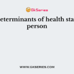 Main determinants of health status of a person