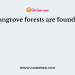 Mangrove forests are found in