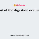 Most of the digestion occurs in