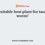 Most suitable host plant for tasar silkworm?