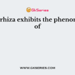 Mycorrhiza exhibits the phenomenon of