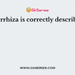 Mycorrhiza is correctly described as