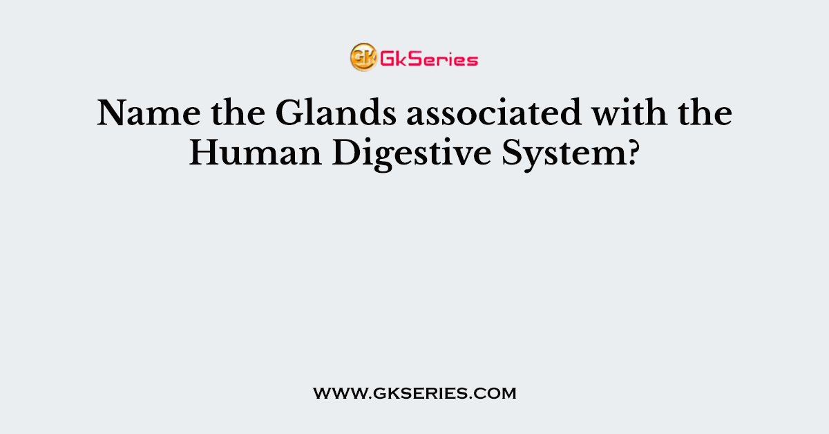 Name the Glands associated with the Human Digestive System?