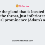 Name the gland that is located at the base of the throat, just inferior to the laryngeal prominence (Adam's apple).