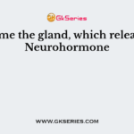 Name the gland, which releases Neurohormone