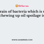 New strain of bacteria which is used in chewing up oil spoilage is
