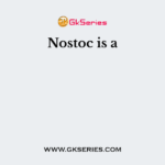 Nostoc is a