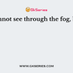 One cannot see through the fog, because