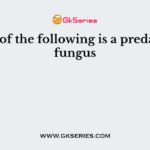 One of the following is a predatory fungus